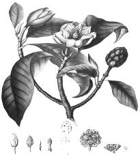 pagenumber_ebook=139,pagenumber_book=139