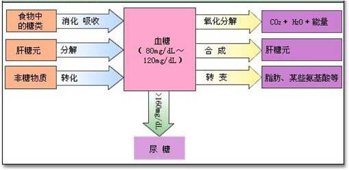 第904章 水晶换人口_商城兑换的水晶挂饰(3)