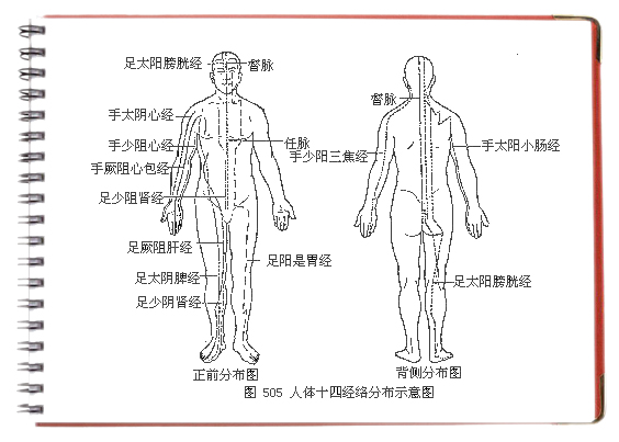 十二经脉是经络学说的主要内容.