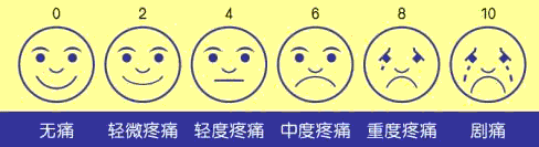 疼 痛: 面部表情分级评分(face rating scale,frs) 疼痛等级:世界