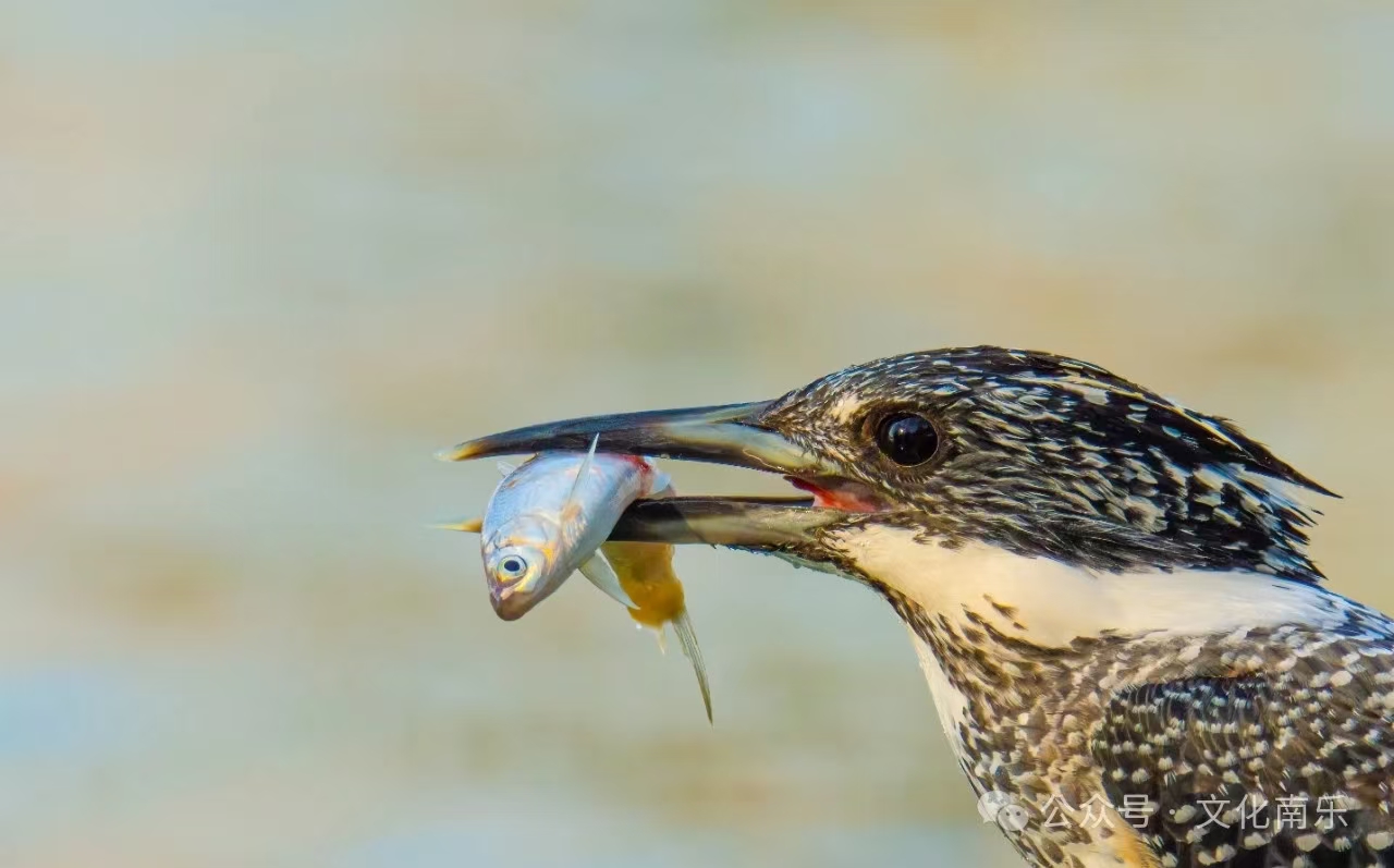 微信图片_20241016085433 微信图片_20241016085433.jpg