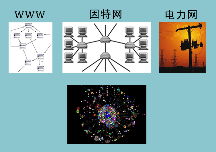 不同领域的复杂网络 社会网:演员合作网,友谊网,姻亲关系网,科研合作