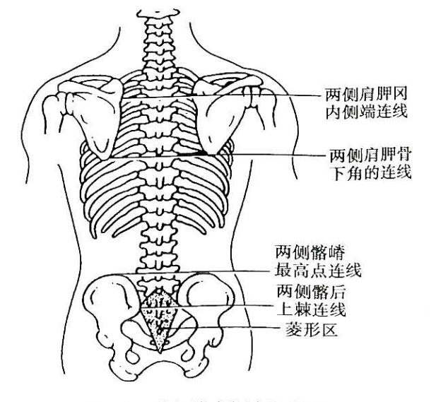 两侧髂嵴最高点的连线平第4腰椎棘突.