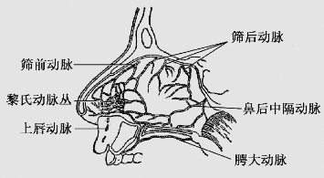 pagenumber_ebook=41,pagenumber_book=28