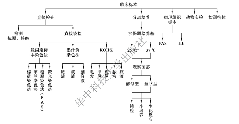 pagenumber_ebook=113,pagenumber_book=106