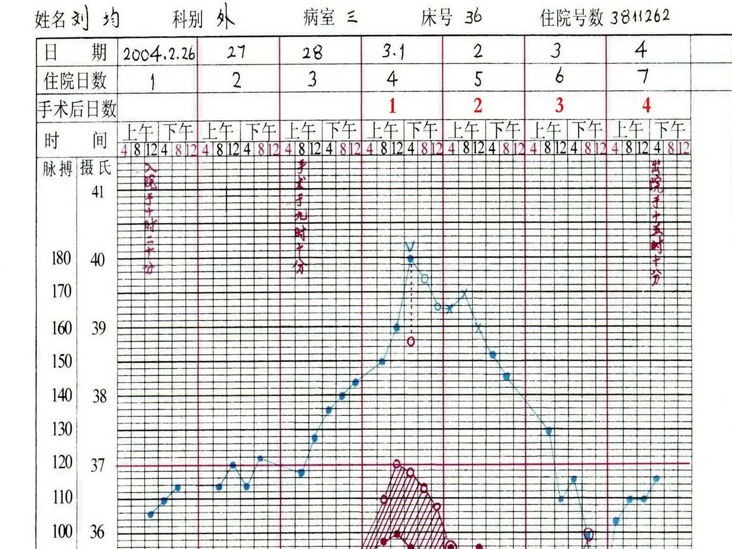 (2)将测量脉率,用红笔绘制于体温单相应时间格内,相邻脉率以红线相连