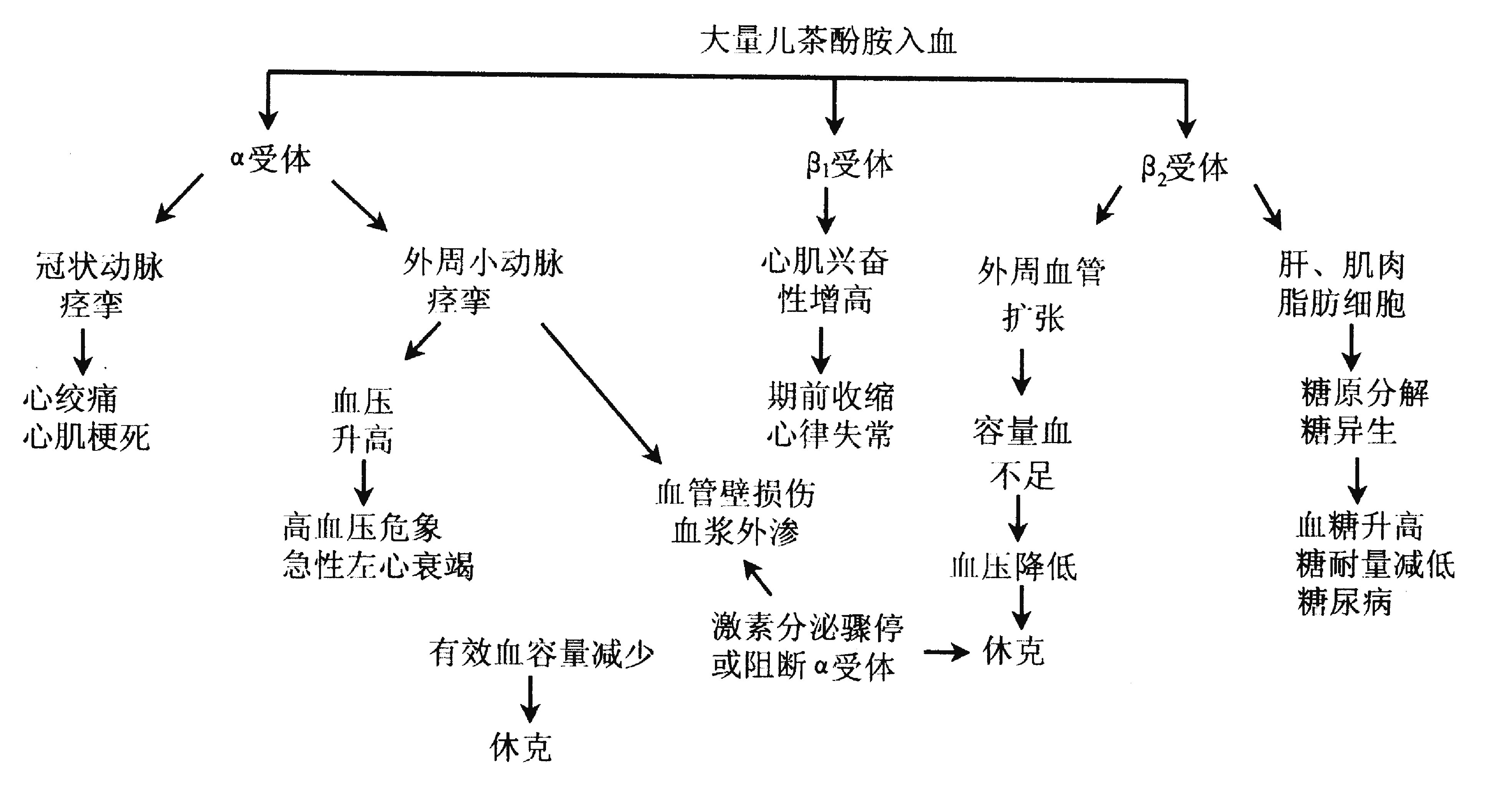 血压的原理_图2-10 血压的调节机制(3)