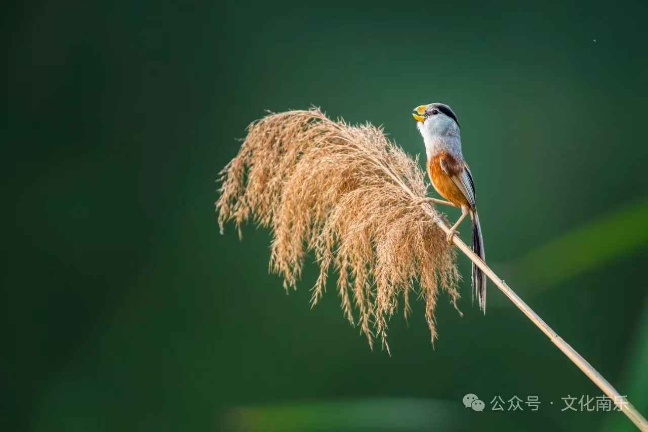 微信图片_2025-08-19_161336_608 微信图片_2025-08-19_161336_608.jpg