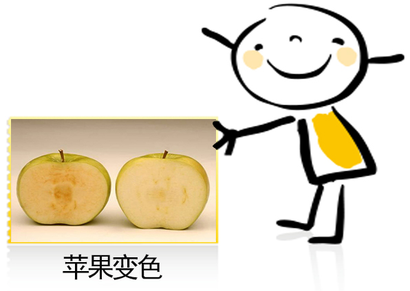 氧化还原反应与离子反应(新高二)