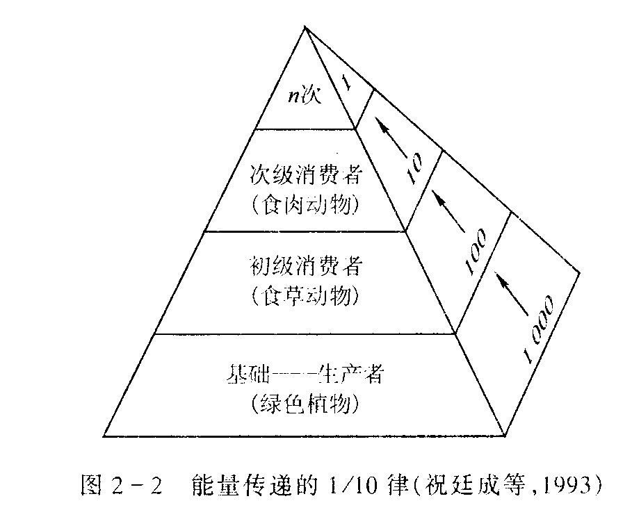 和类型 1,生态系统的组成 2,生态系统的类型 三,营养级和生态金字塔