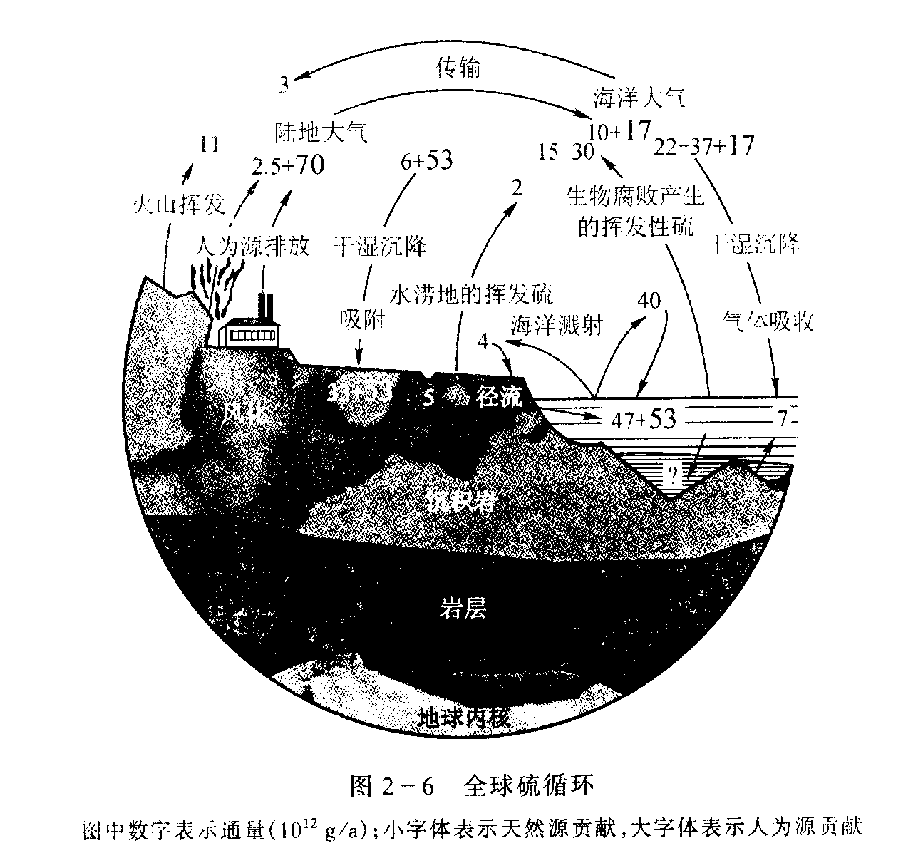 生态系统是一定空间内由生物成分和非生物成分组成的一个生态学功能