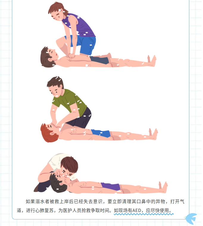 image.png?v=1785019567600