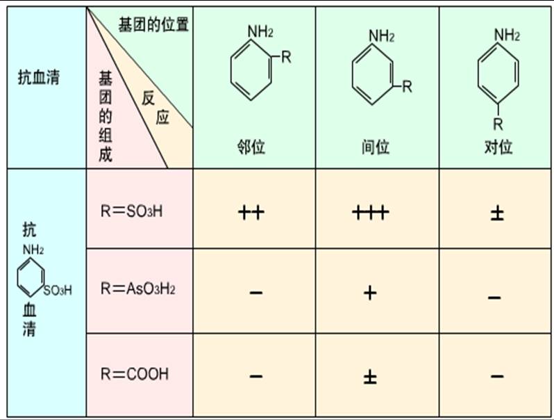 抗原决定簇的性质决定抗原特异性.jpg
