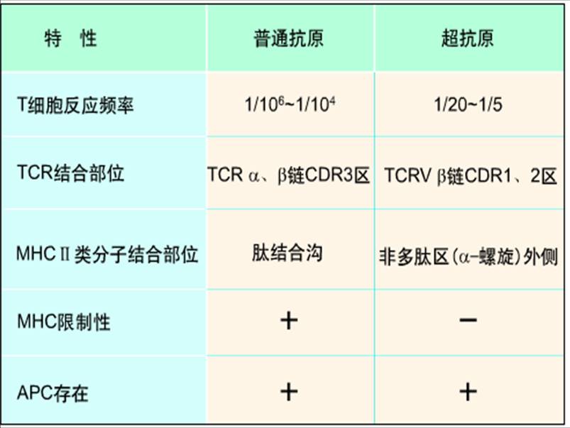 超抗原与普通抗原的比较.jpg