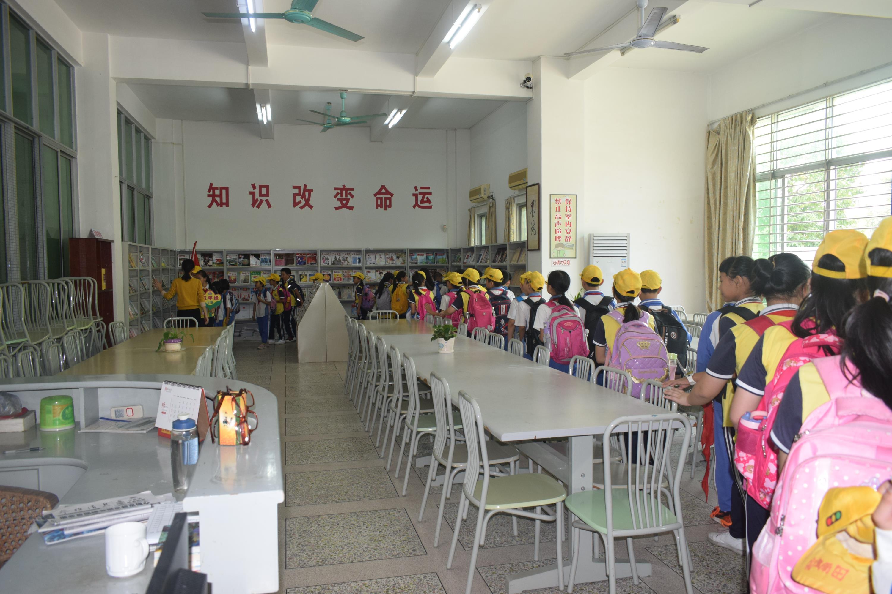 DSC_7249 DSC_7249.jpg?v=1765743766432