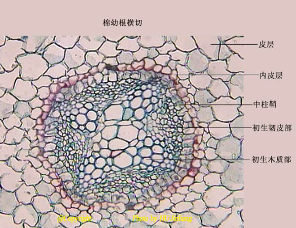 全屏显示课程章节