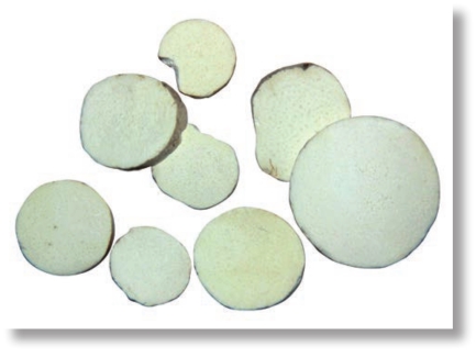 pagenumber_ebook=257,pagenumber_book=244