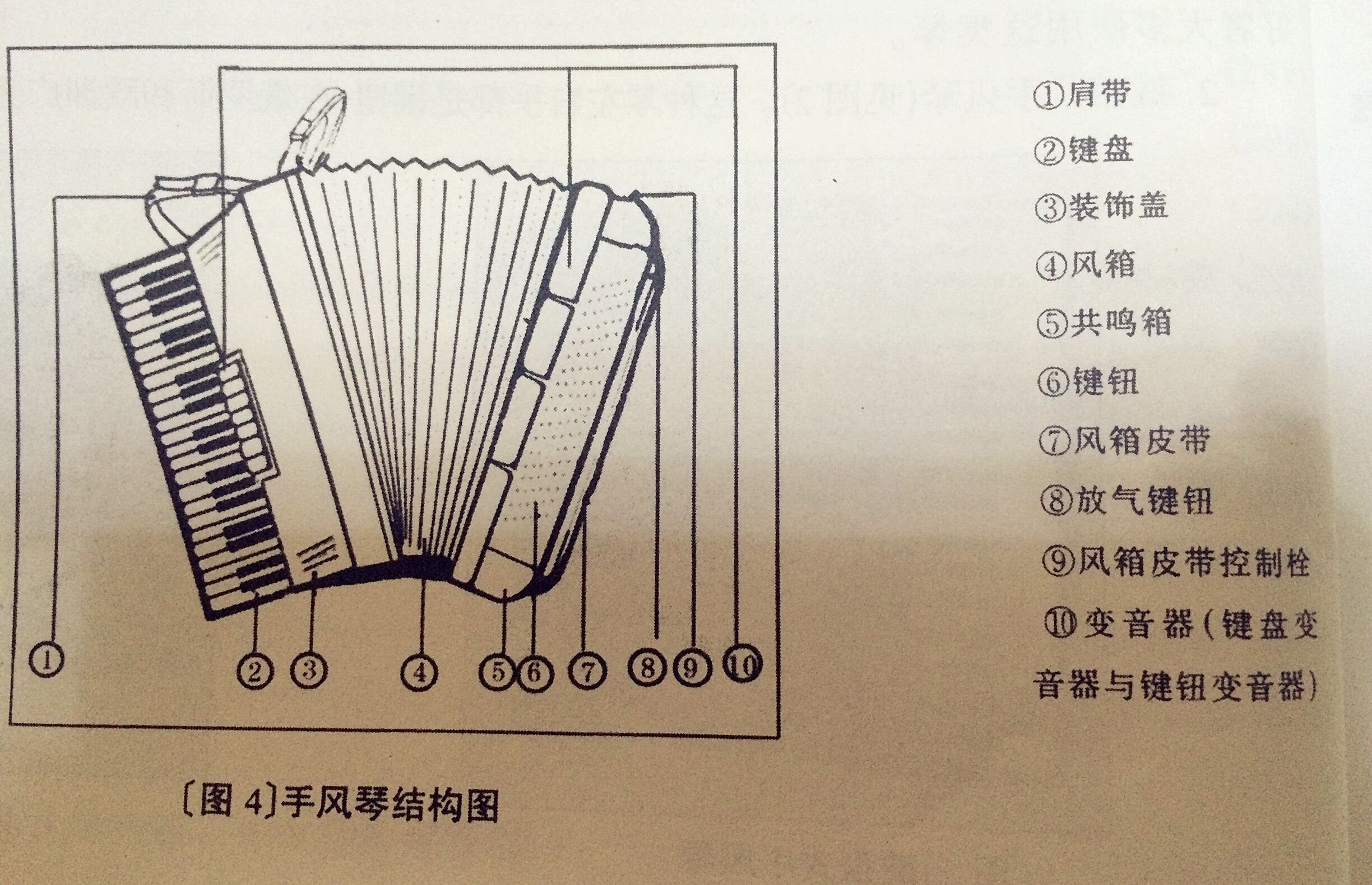 弹拨类乐器与多段式鼓风机