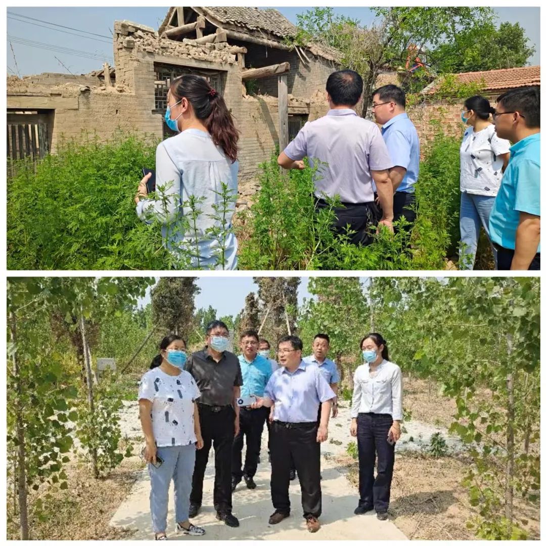 市局专家调研 市局专家调研.jpg