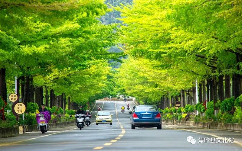 微信图片_20220804151839 微信图片_20220804151839.jpg?v=1766027747636