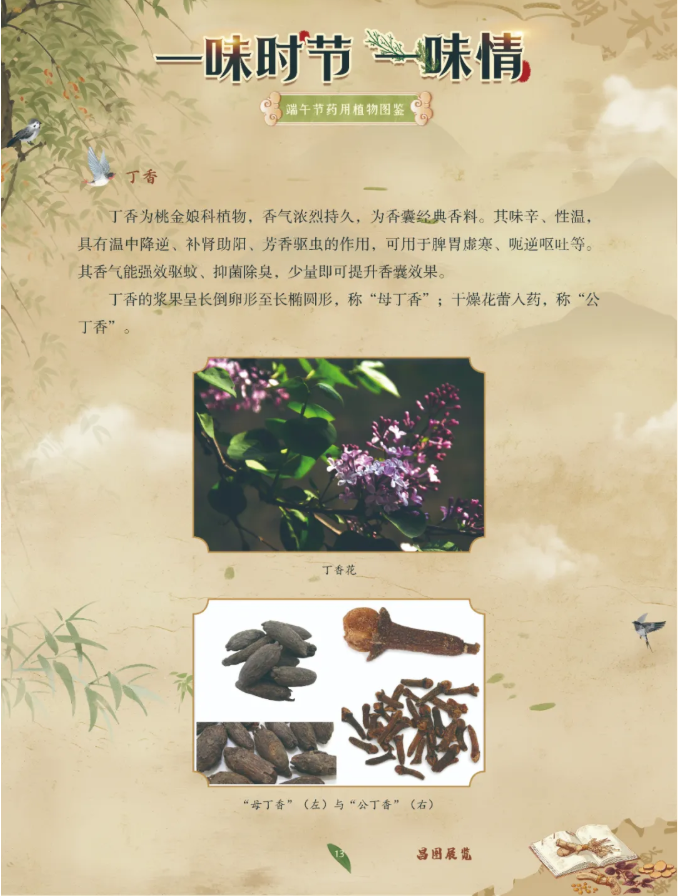 image.png?v=1782174181266