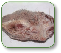 pagenumber_ebook=246,pagenumber_book=233