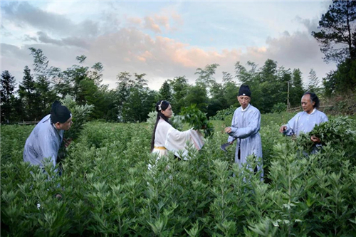 微信图片_20200617214732 微信图片_20200617214732.jpg