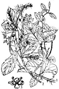 pagenumber_ebook=184,pagenumber_book=184