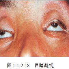 全屏显示课程章节