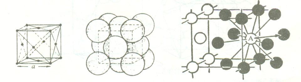 面心立方晶胞                                       (b) 原子配位