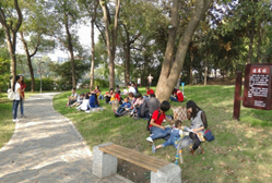 2015102340784849 2015102340784849.png?v=1764820277887