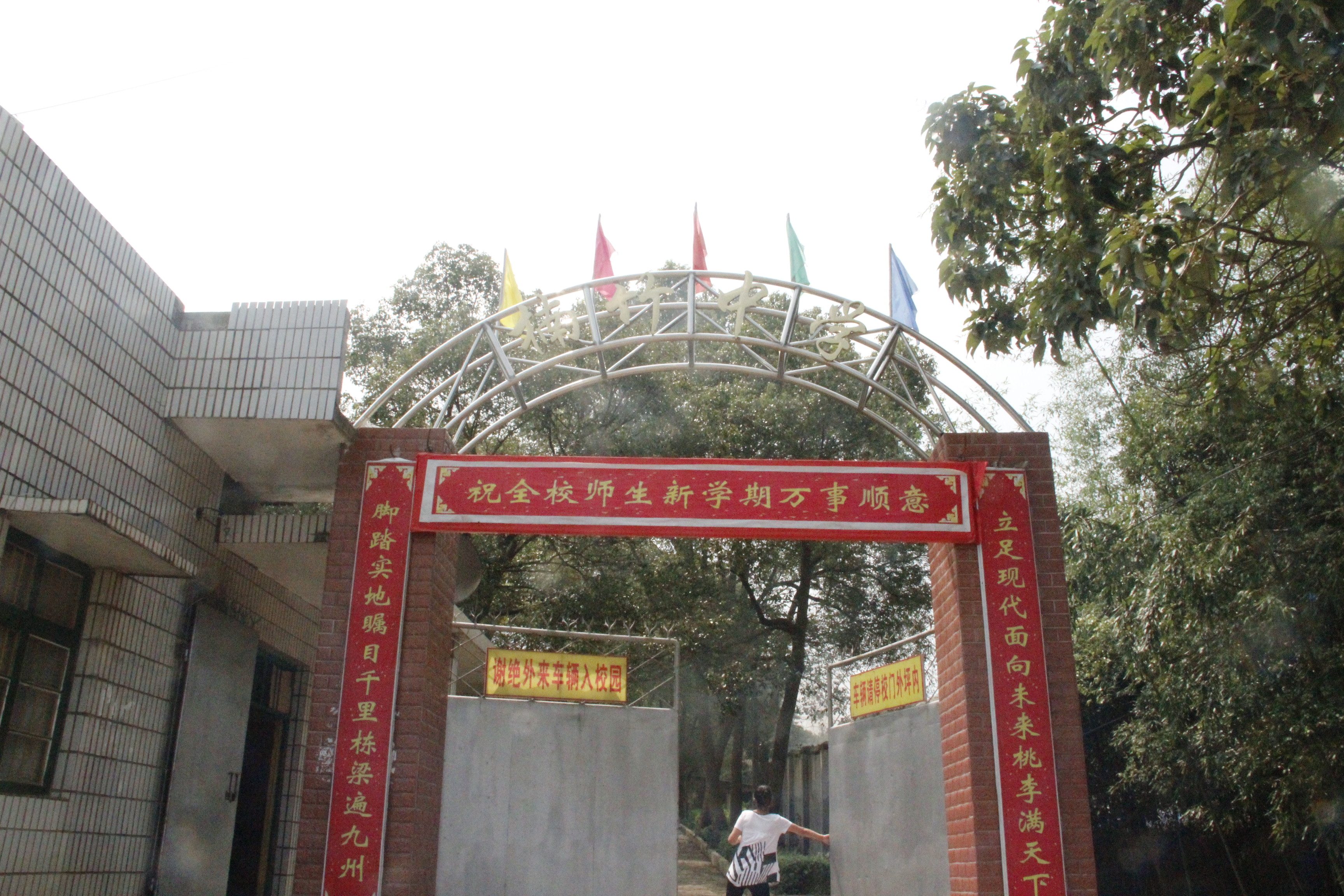 2015091160903721 2015091160903721.jpg?v=1764820395523