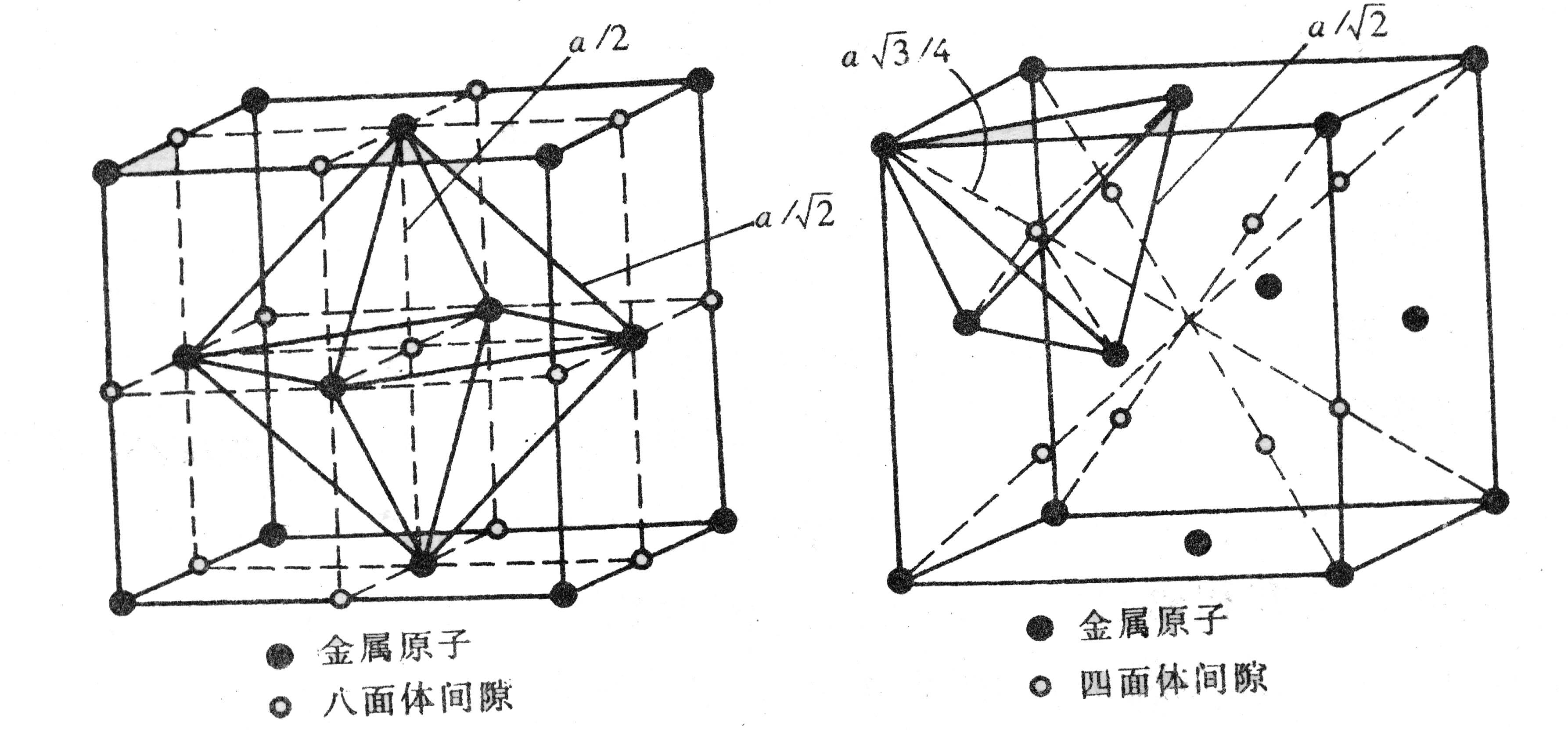 (a)八面体间隙 (4个) 