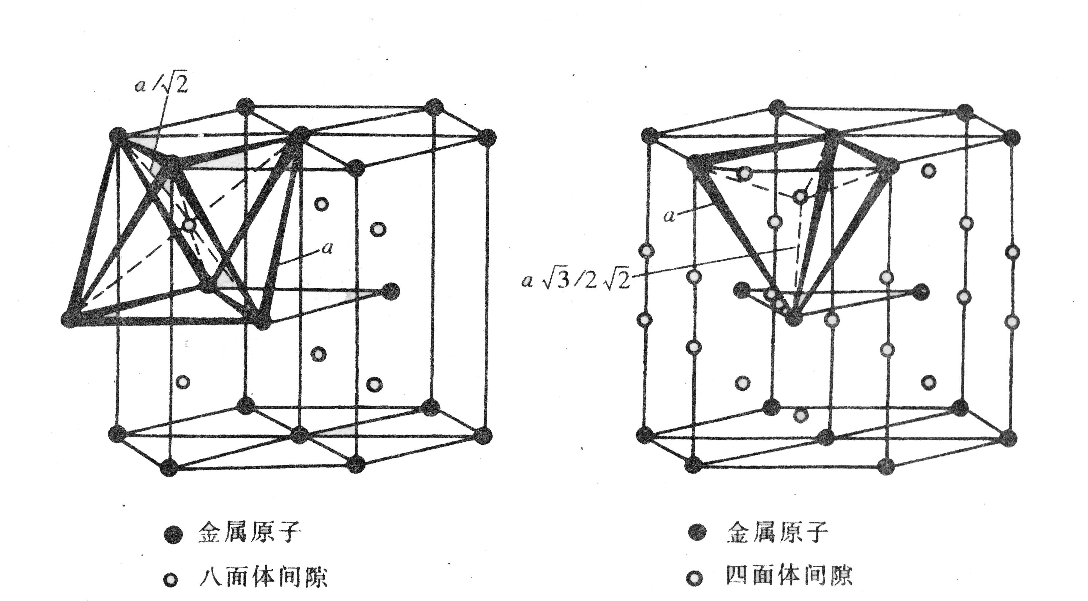   (a)八面体间隙(6个)