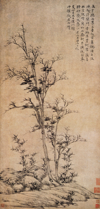 竹石.jpg