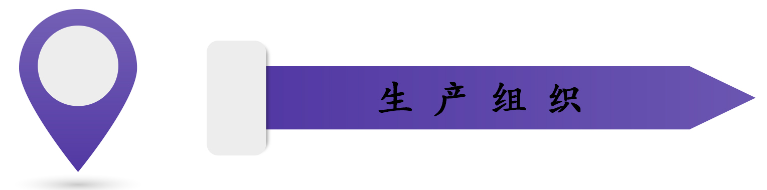 生产组织.jpg