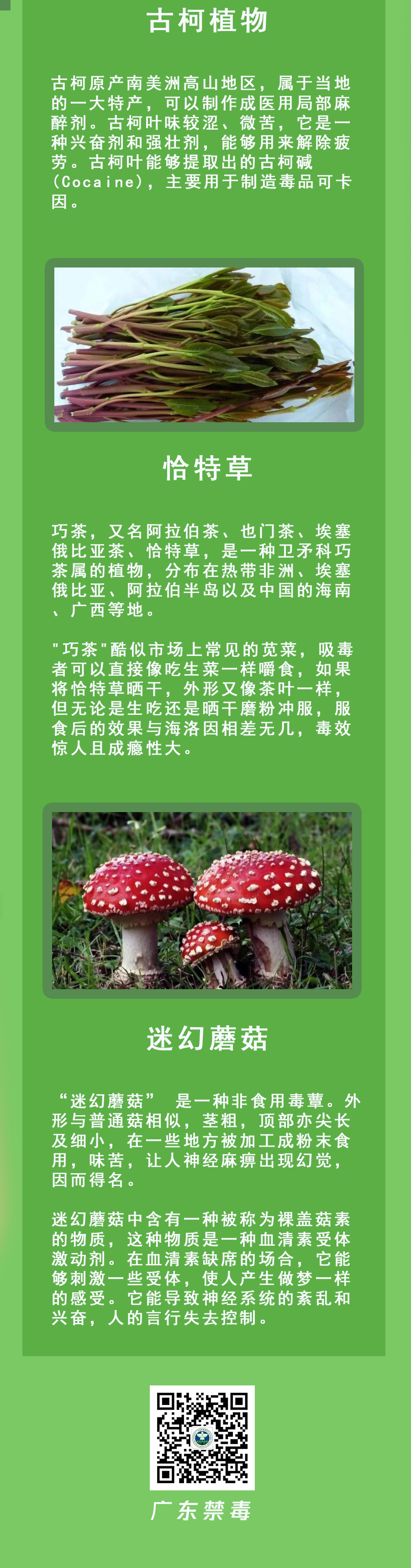 640 640.png?v=1761775300205