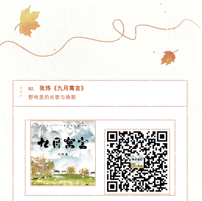 image.png?v=1791930197459