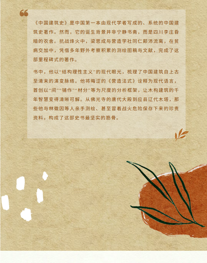 image.png?v=1770178053311