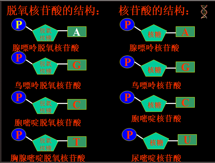 全屏显示课程章节