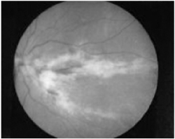 pagenumber_ebook=111,pagenumber_book=100