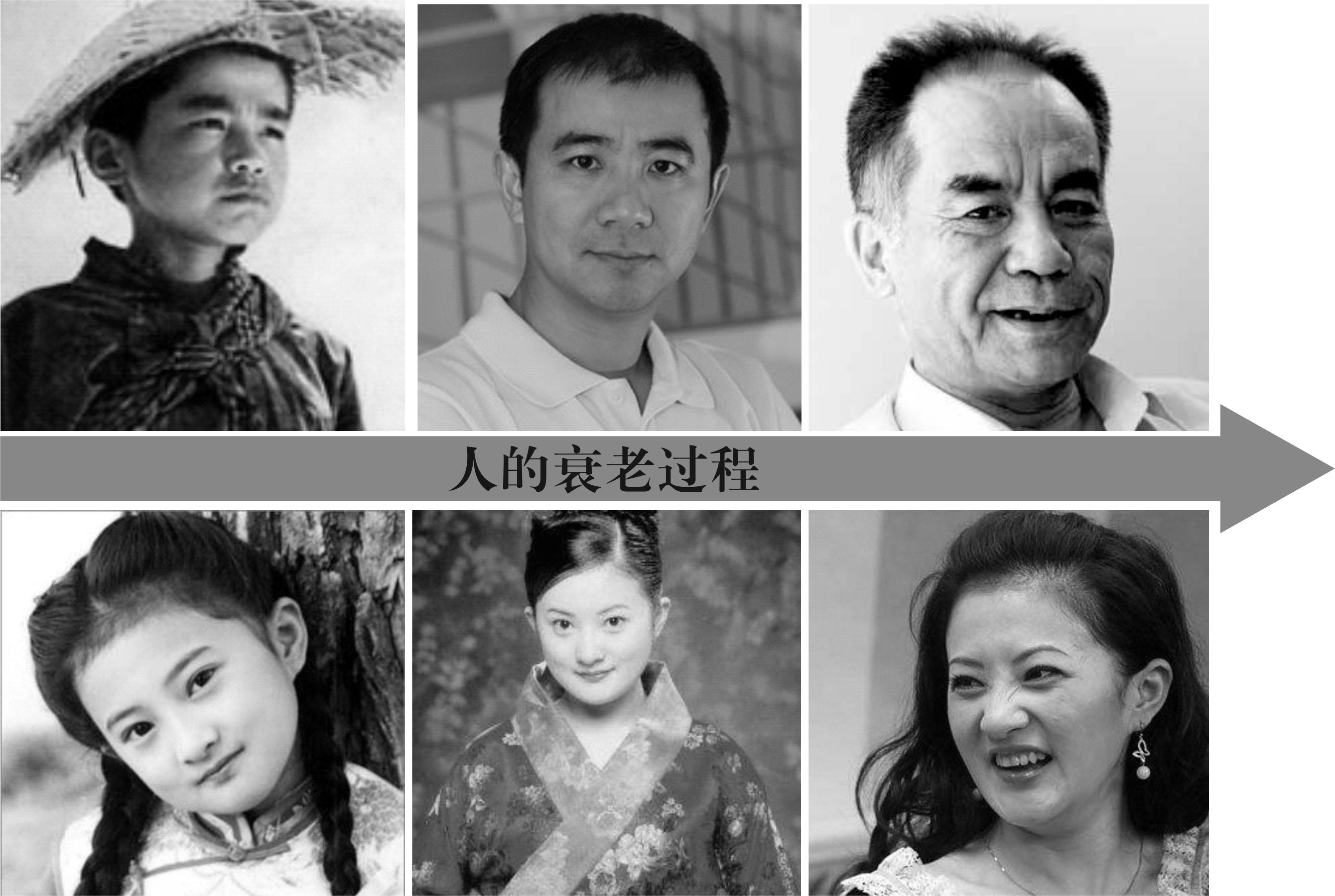 人的衰老过程.jpg