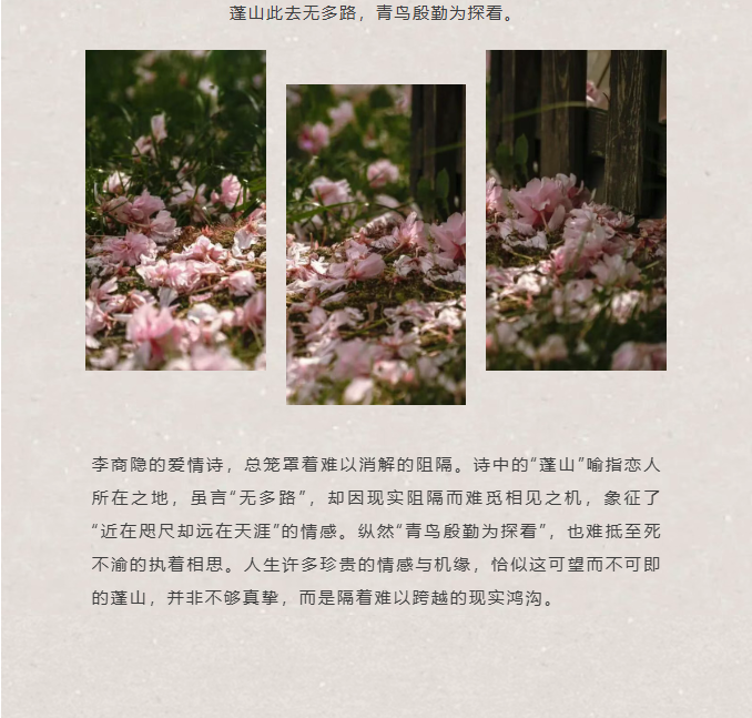 image.png?v=1766232863900