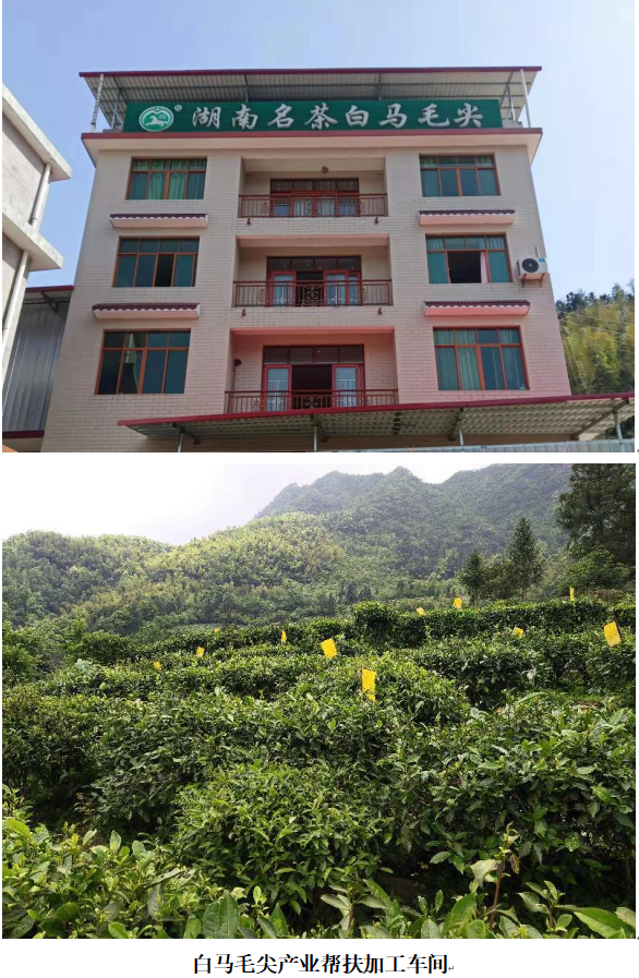 1732352945415 1732352945415.png