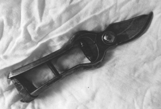 pagenumber_ebook=523,pagenumber_book=511