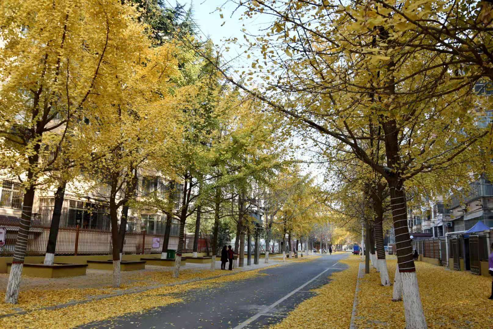 微信图片_2020121420150312