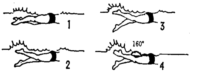 img202