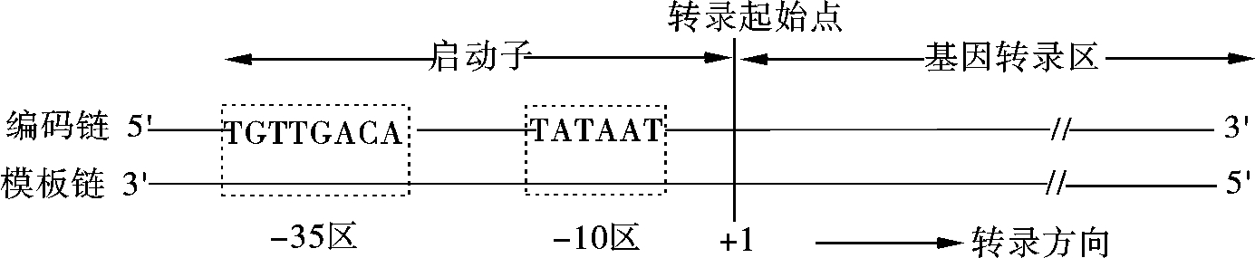 img247