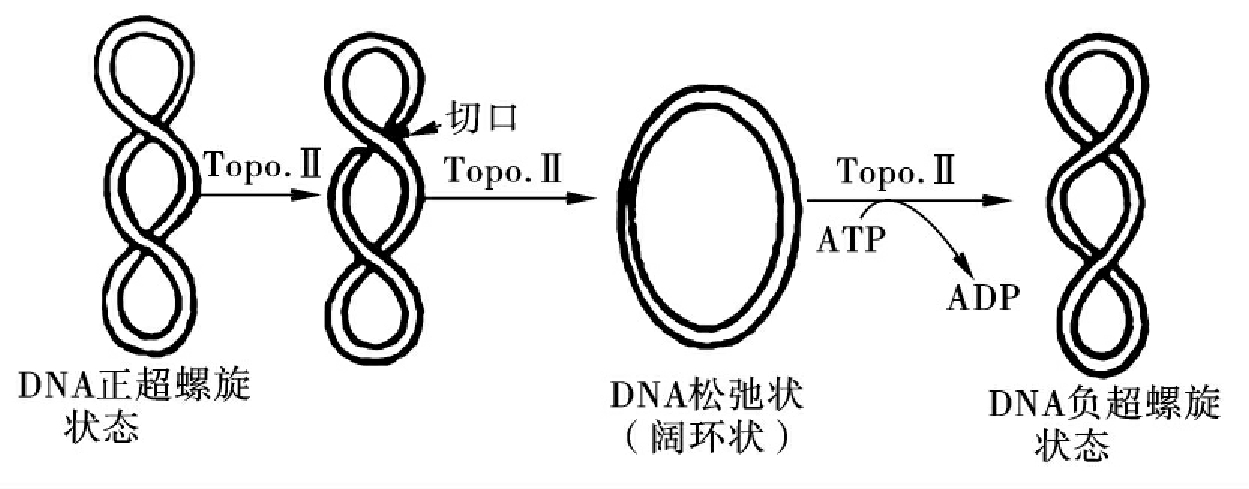 img238