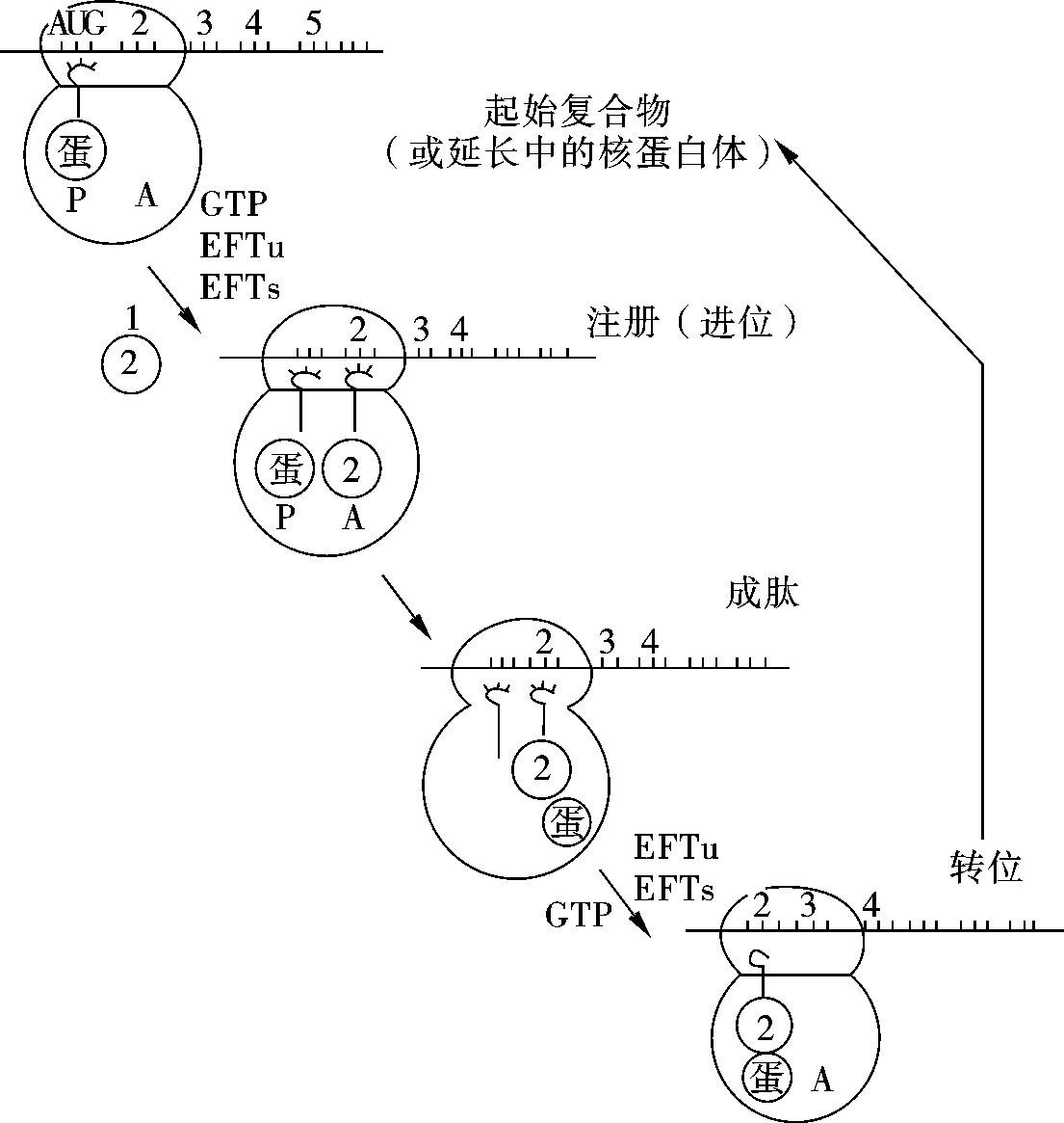 img261